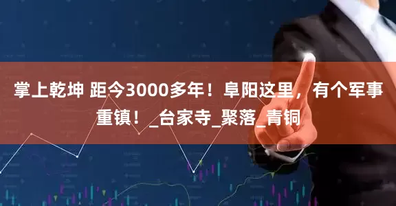 掌上乾坤 距今3000多年！阜阳这里，有个军事重镇！_台家寺_聚落_青铜