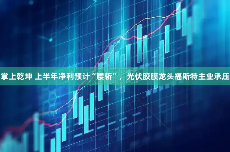 掌上乾坤 上半年净利预计“腰斩”，光伏胶膜龙头福斯特主业承压