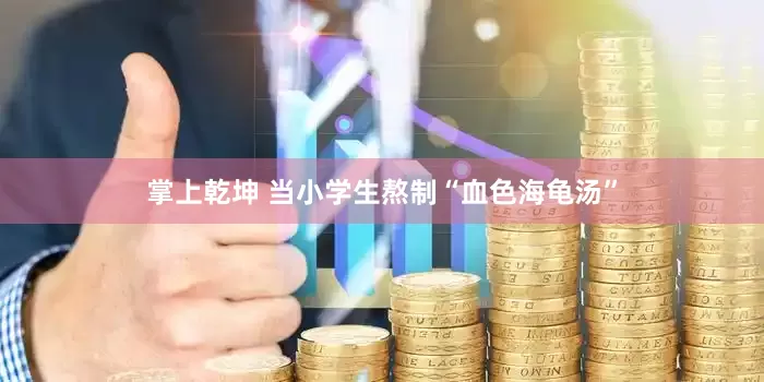 掌上乾坤 当小学生熬制“血色海龟汤”